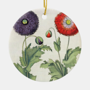 Poppies: 1.Papaver flore multiplici incarnato; 2.P Ceramic Tree Decoration