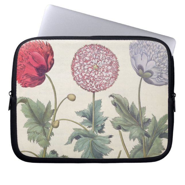 Poppies: 1.Papaver multiplex albumoris rubicundis; Laptop Sleeve (Front)