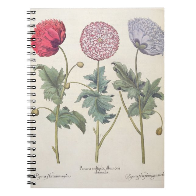 Poppies: 1.Papaver multiplex albumoris rubicundis; Spiral Notebook (Front)