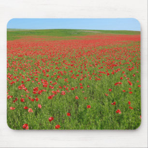 Poppies alive! mouse pad