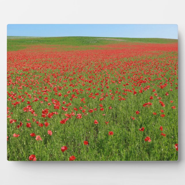 Poppies alive! plaque (Front)