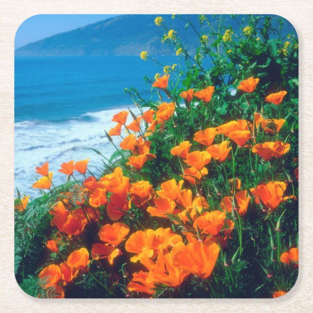 Poppies along the Pacific Coast near Big Sur Square Paper Coaster (Front)