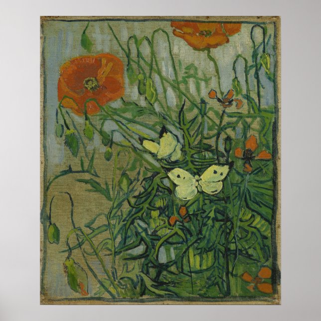 Poppies and Butterflies by Vincent Van Gogh  Poster (Front)