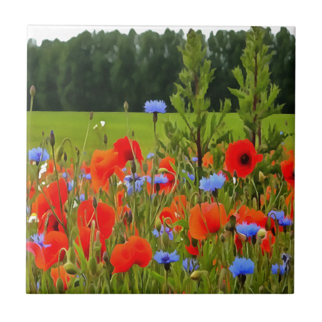 Poppies And Cornflowers Realistic Landscape Art Tile (Front)