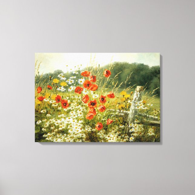 Poppies and Daisies Canvas Print (Front)