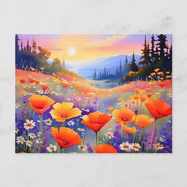 Poppies and Daisies in Bloom Postcard (Front)