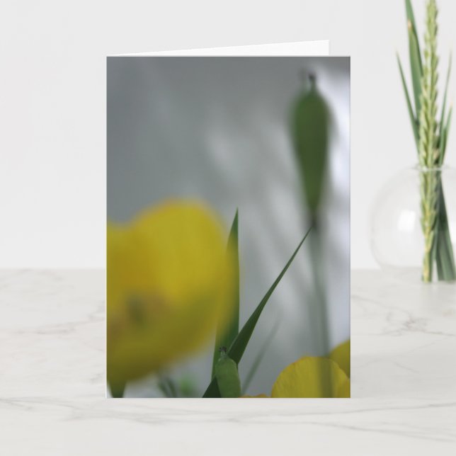 Poppies and shade 4 Floral Photography Greeting C Card (Front)