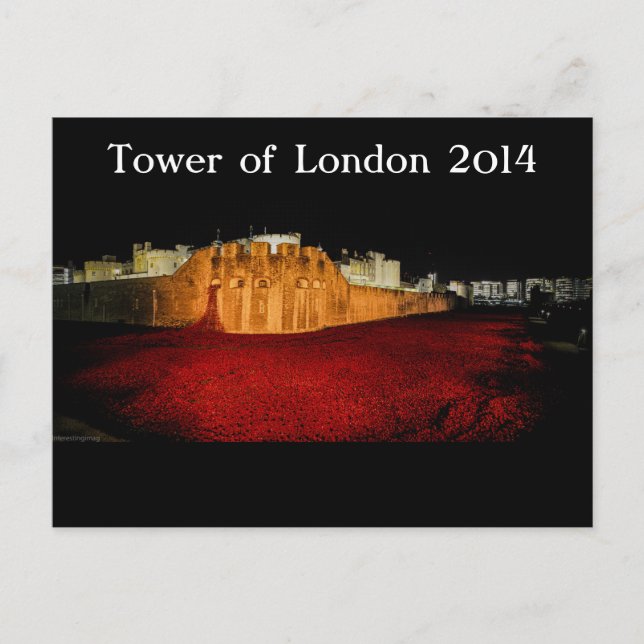 Poppies at the Tower of London - Night Panorama Postcard (Front)