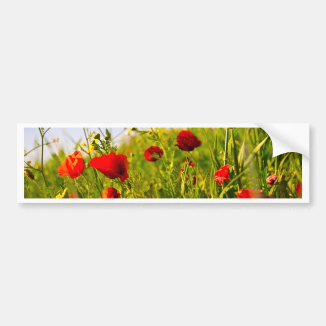 Poppies Bumper Sticker (Front)