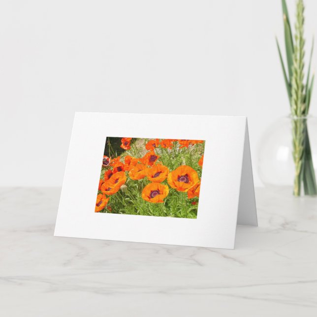 Poppies Card (Front)