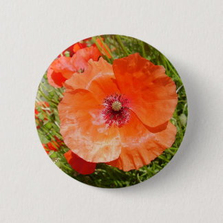 Poppies - Coquelicots 6 Cm Round Badge