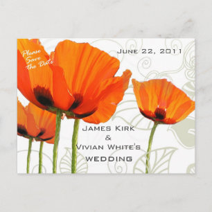 Poppies Deco Shawn Announcement Postcard