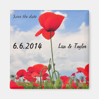 Poppies field magnet