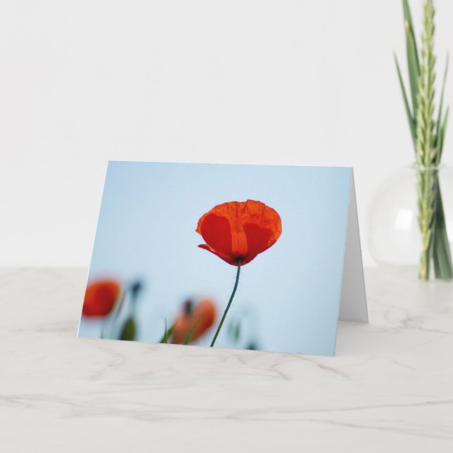 Poppies in a field in Nidd Card (Front)