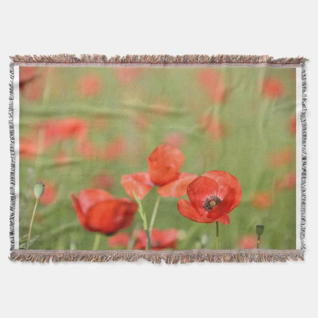 Poppies in a poppy field blanket (Front)