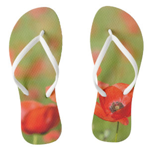Poppies in a poppy field flip-flops jandals