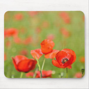 Poppies in a poppy field mousepad