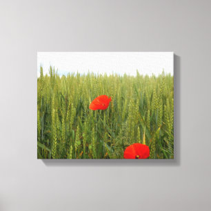Poppies in a Wheat Field Canvas Print