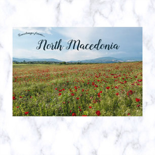 Poppies in Skopje North Macedonia Postcard