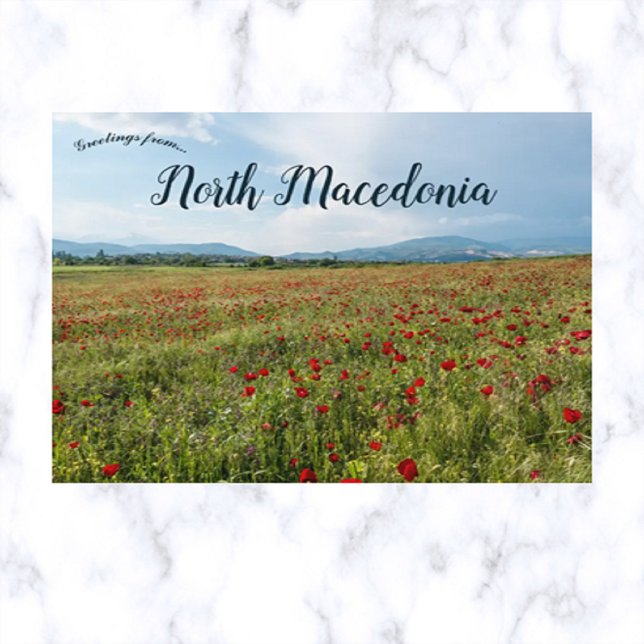 Poppies in Skopje North Macedonia Postcard (Creator Uploaded)