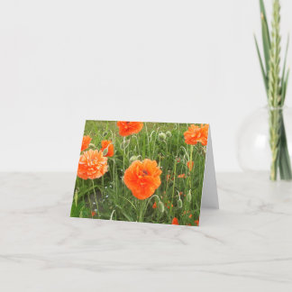 Poppies In The Wind Card