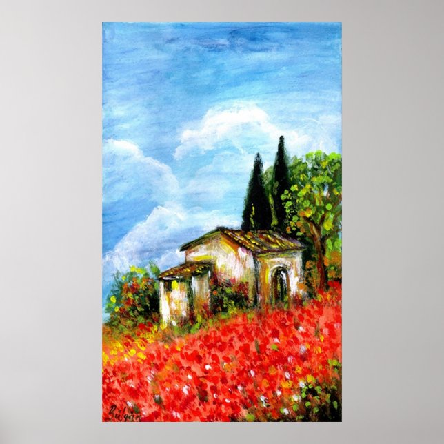 POPPIES IN TUSCANY POSTER (Front)