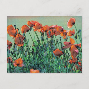 Poppies No. 4 Postcard