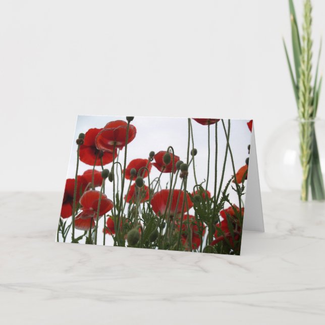 poppies notecard (Front)