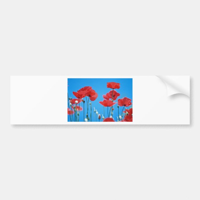 Poppies of Provence Bumper Sticker (Front)