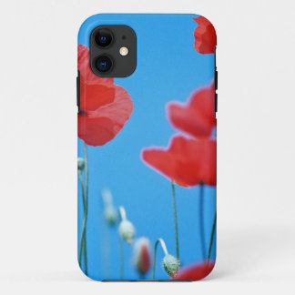 Poppies of Provence Case-Mate iPhone Case