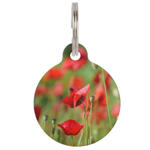 Poppies Pet Tag