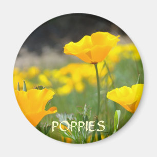 POPPIES POPPY Flowers MAGNET MAGNETS Gifts