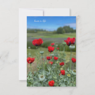 Poppies & Poppy Heads Card