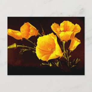 Poppies Postcard