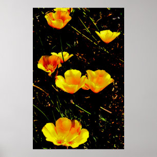 Poppies Poster