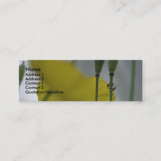 Poppies & shade (8) mini business card