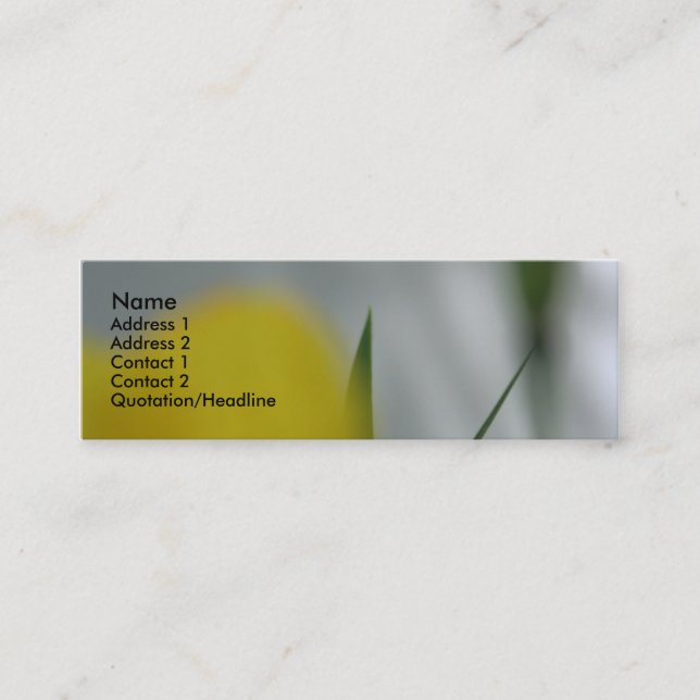 Poppies & shades 4 mini business card (Front)