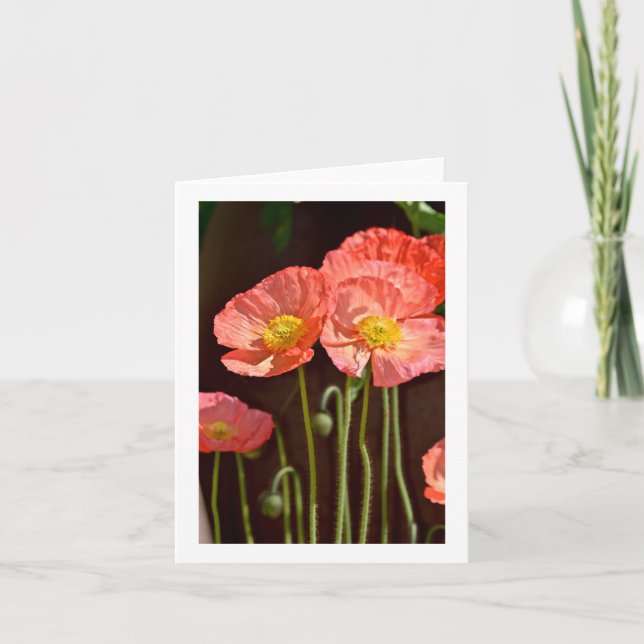Poppies - Stationary Note Card (Front)