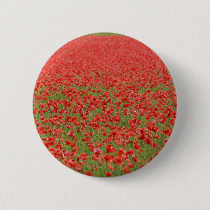 Poppies - thousands! 6 cm round badge