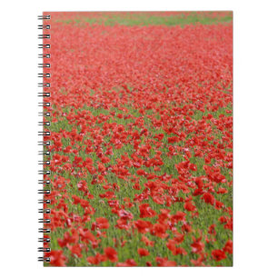 Poppies - thousands! spiral notebook