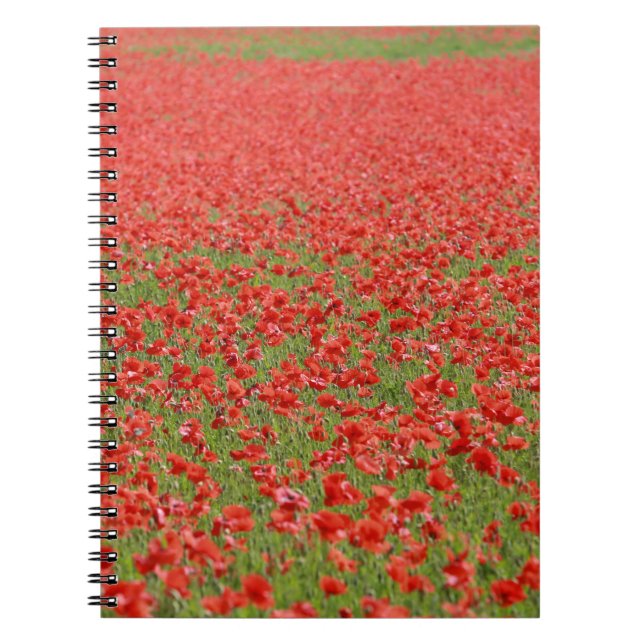 Poppies - thousands! spiral notebook (Front)