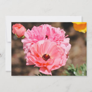 Popping in Pink  Invitation