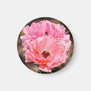 Popping in Pink Magnet