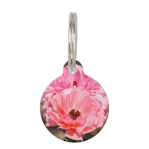 Popping in Pink  Pet Tag