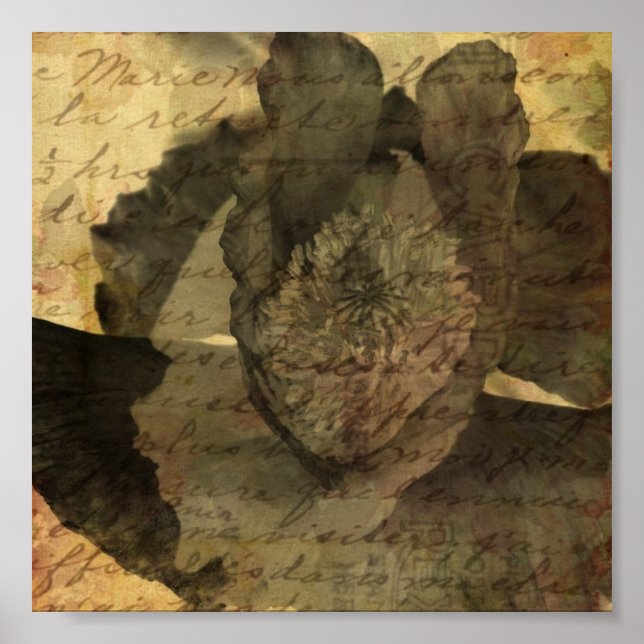 Poppy 3 poster (Front)