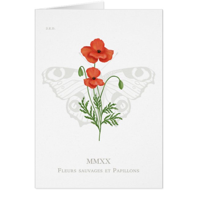 Poppy and peacock butterfly card (Front)