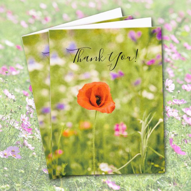 Poppy Blank Inside  Thank You Card (Creator Uploaded)