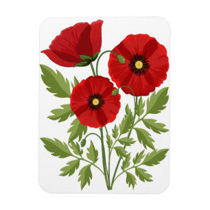 Poppy blooming joyful Summer Flowers Magnet