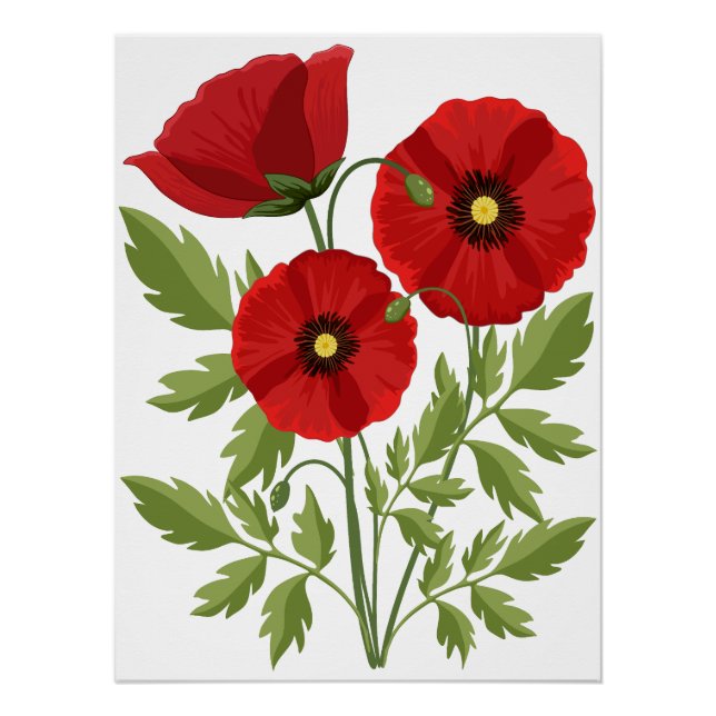Poppy blooming joyful Summer Flowers Poster (Front)