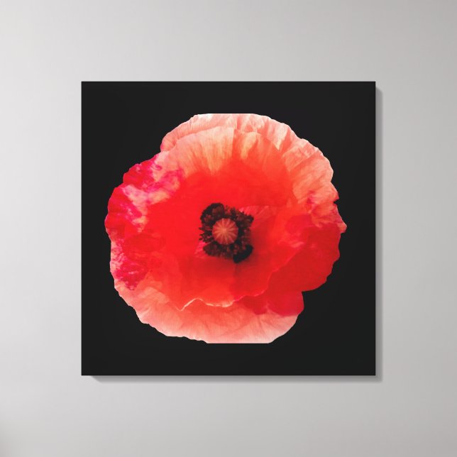 Poppy blossom canvas print (Front)